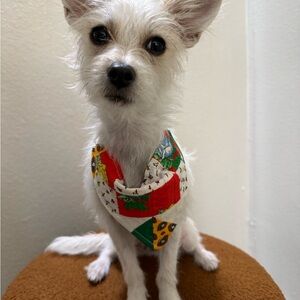 Festive Dog Bandana
